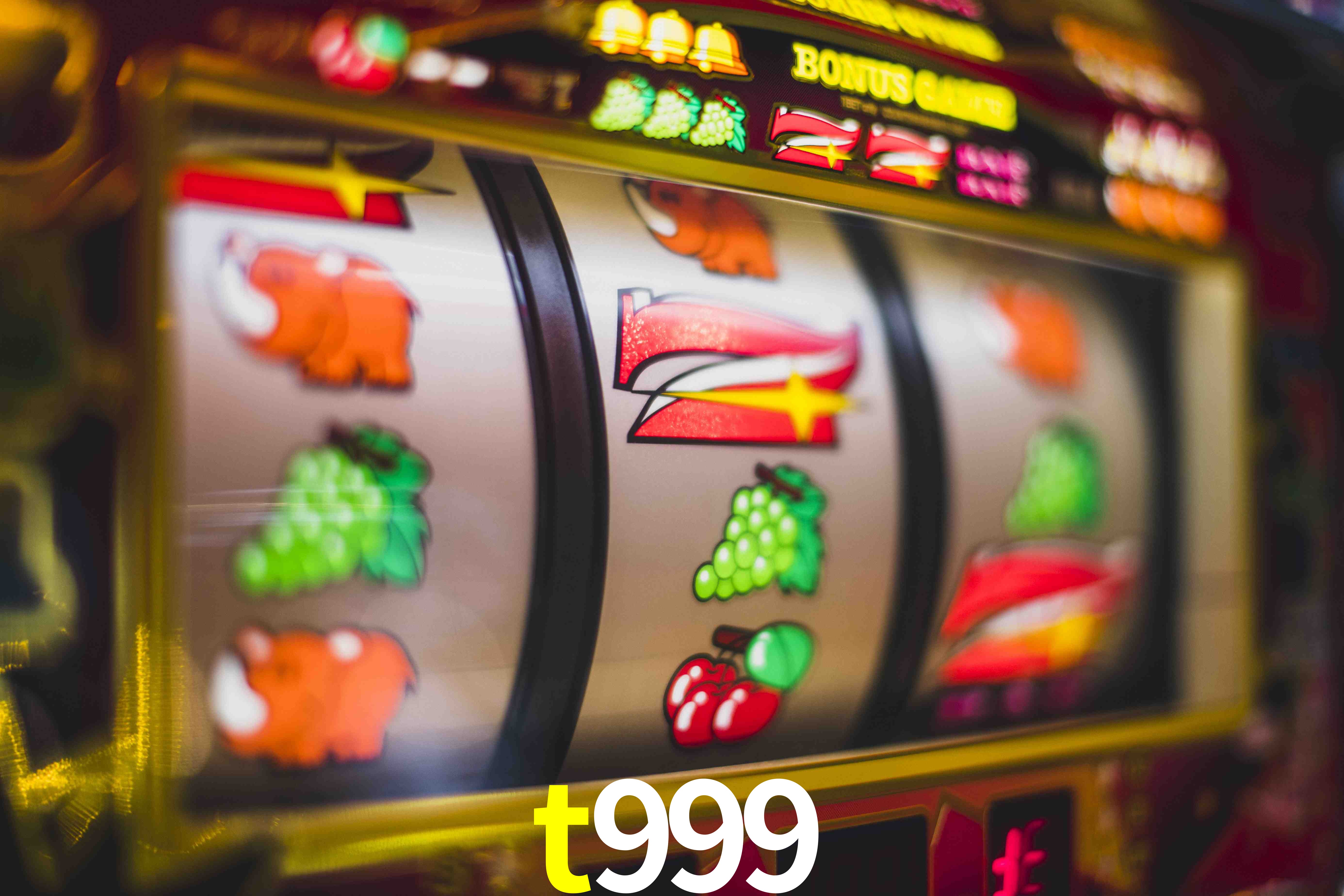 Secure Login t999