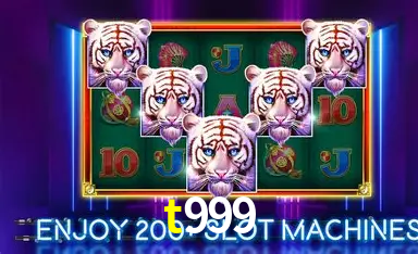 t999 bet